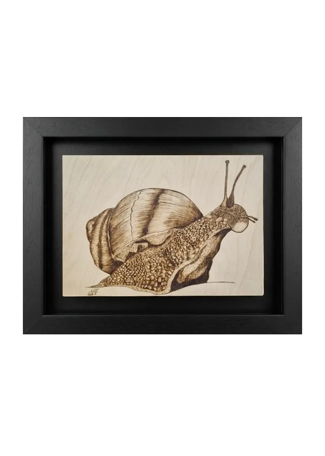 Die geduldige Schnecke